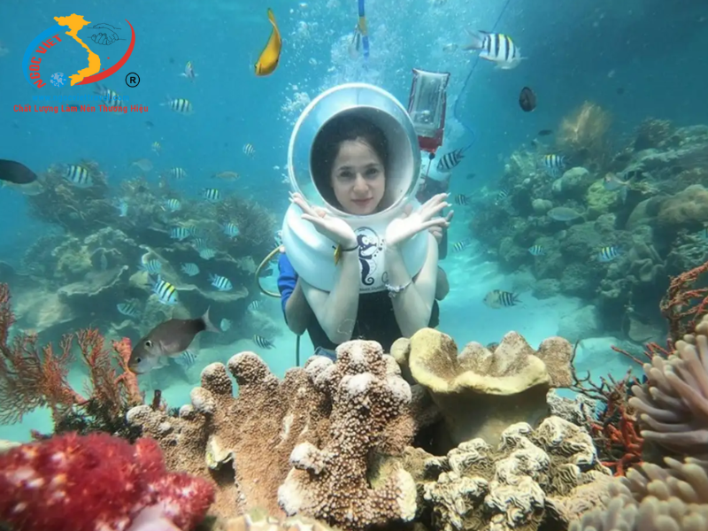 TOUR BÌNH HƯNG - NINH CHỮ - ĂN TÔM HÙM – CƠM MẸT GÀ PHAN RANG - XE VIP LIMOUSINE