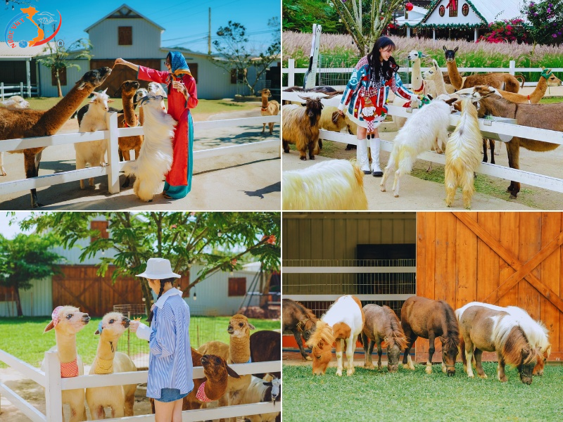 ĐÀ LẠT – TEA RESORT THÁC PRENN - NÔNG TRẠI CÚN – GOD VALLEY